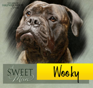 Wooky from A Sweet Man by Jaime Reese